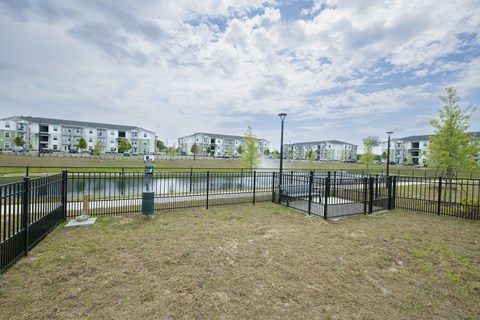 Madison Palms | Jacksonville, FL | Pet Park