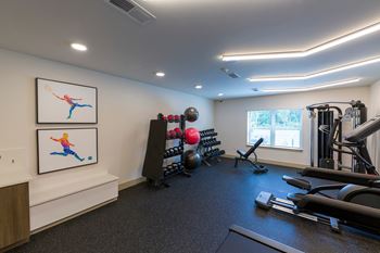 A gym with a variety of equipment including treadmills, weights, and a bench press.