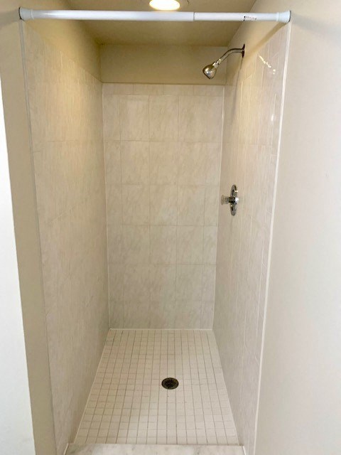 a bathroom with a shower and a sink