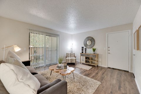 The Park at Wintergreen Apartments | DeSoto, TX | Spacious Living Room