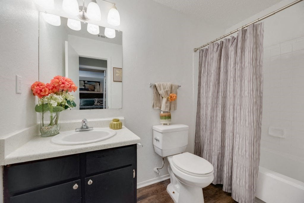 The Park at Wintergreen Apartments | DeSoto, TX  | Bathroom