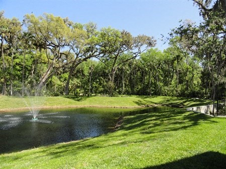 Olive Grove Apartments Pond with Fountain
