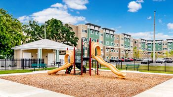 Palmetto Pointe Playground