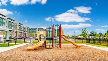 Palmetto Pointe Playground