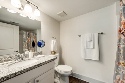 Bahia Cove Apartments Model Bathroom