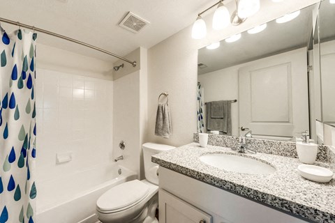 Bahia Cove Apartments Model Bathroom