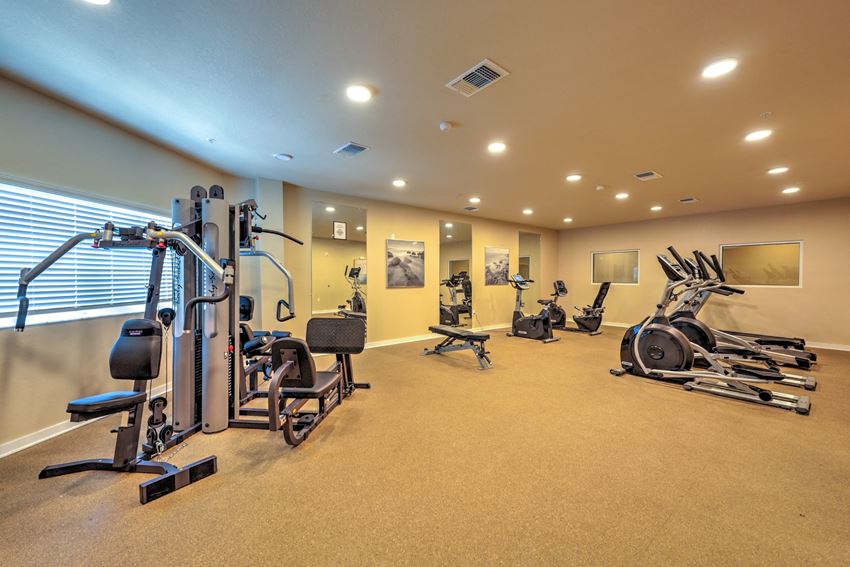 Palmetto Pointe | Fitness Center Palmetto Pointe | Fitness Center - Photo Gallery