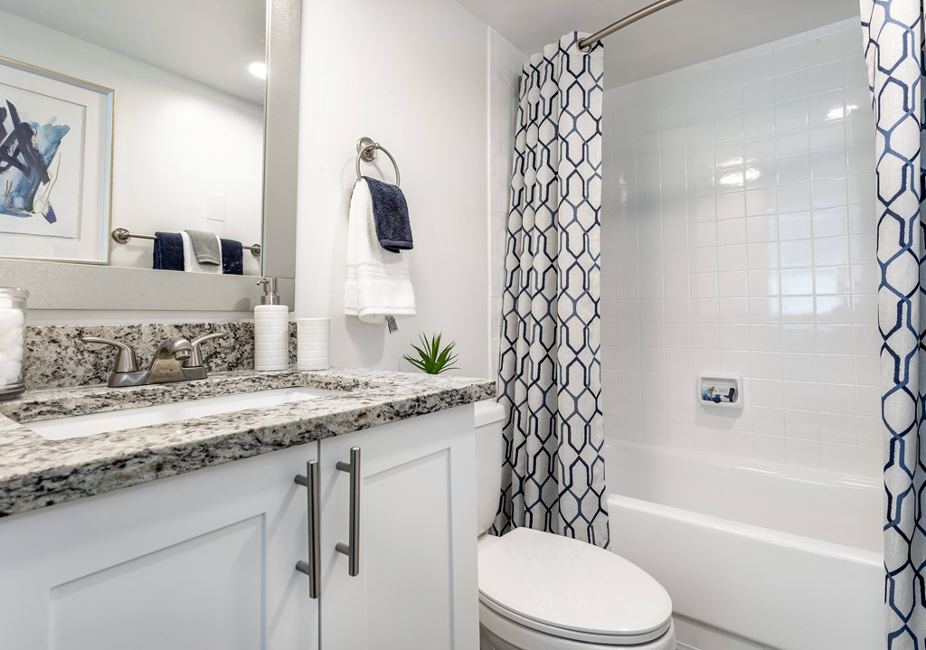 The Indigo |Clearwater, FL | 1 Bed Bathroom