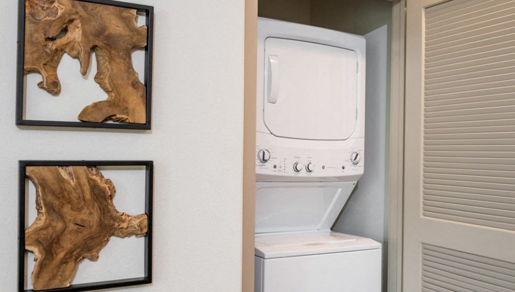 Stacked Washer and Dryer in Unit