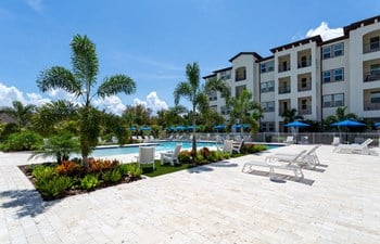 Studio Apartments for Rent in Tampa, FL: from $659 | RENTCafé