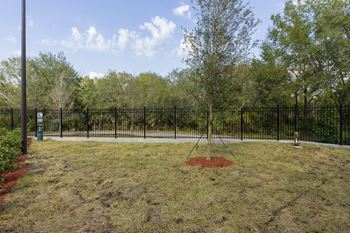Lofts at Brooklyn Downtown Jacksonville FL | Dog Park