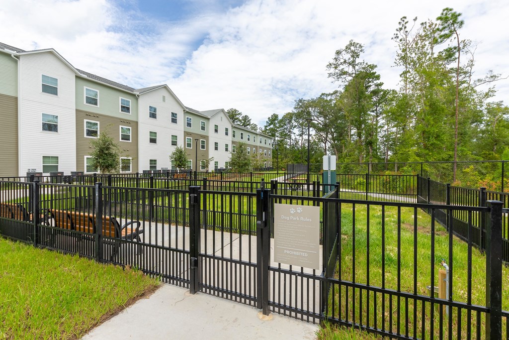 Molly Crossing| Middleburg, FL | Dog Park