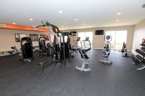 A gym with a variety of equipment including treadmills, weights, and exercise machines.