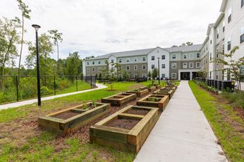 a row of raised garden beds in front of a building