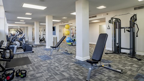 The Indigo |Clearwater, FL | Fitness Center
