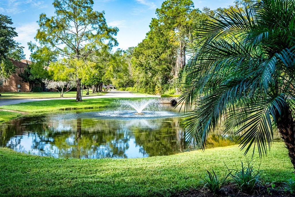 Woodlake Park Pond with Fountain
