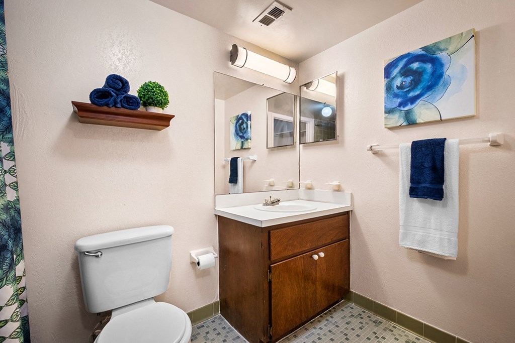 Woodlake Park Bathroom