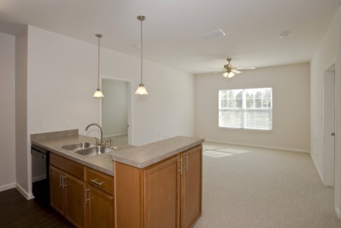 A kitchen with wooden cabinets and a countertop.
