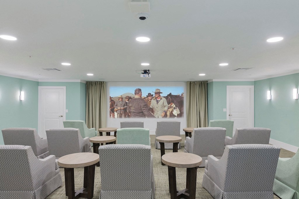 Lucas Creek Movie Room