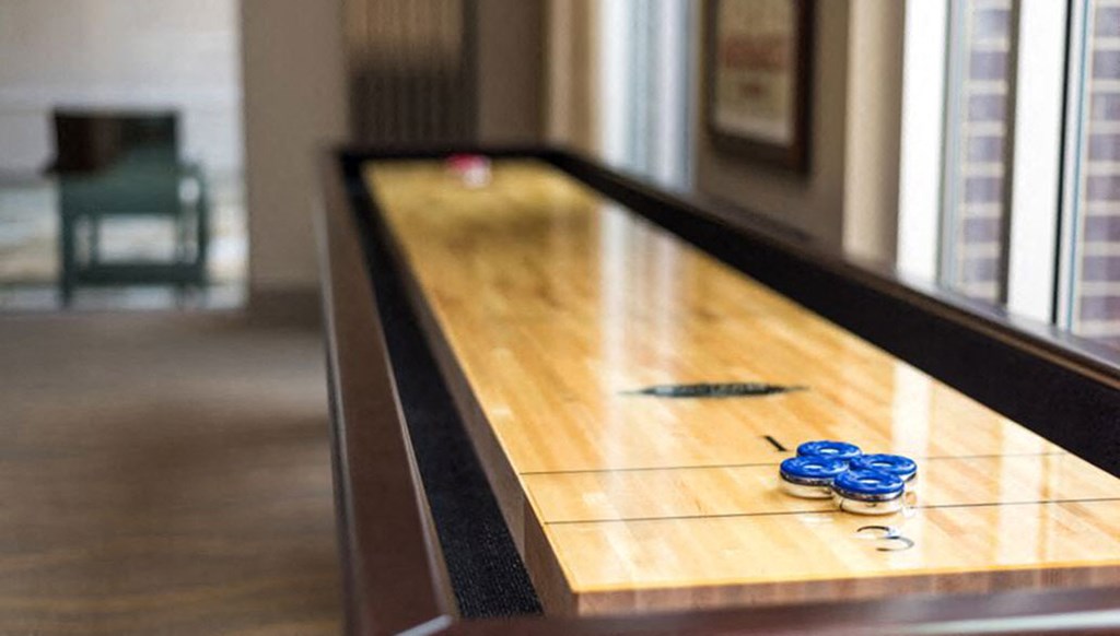 Shuffleboard Table