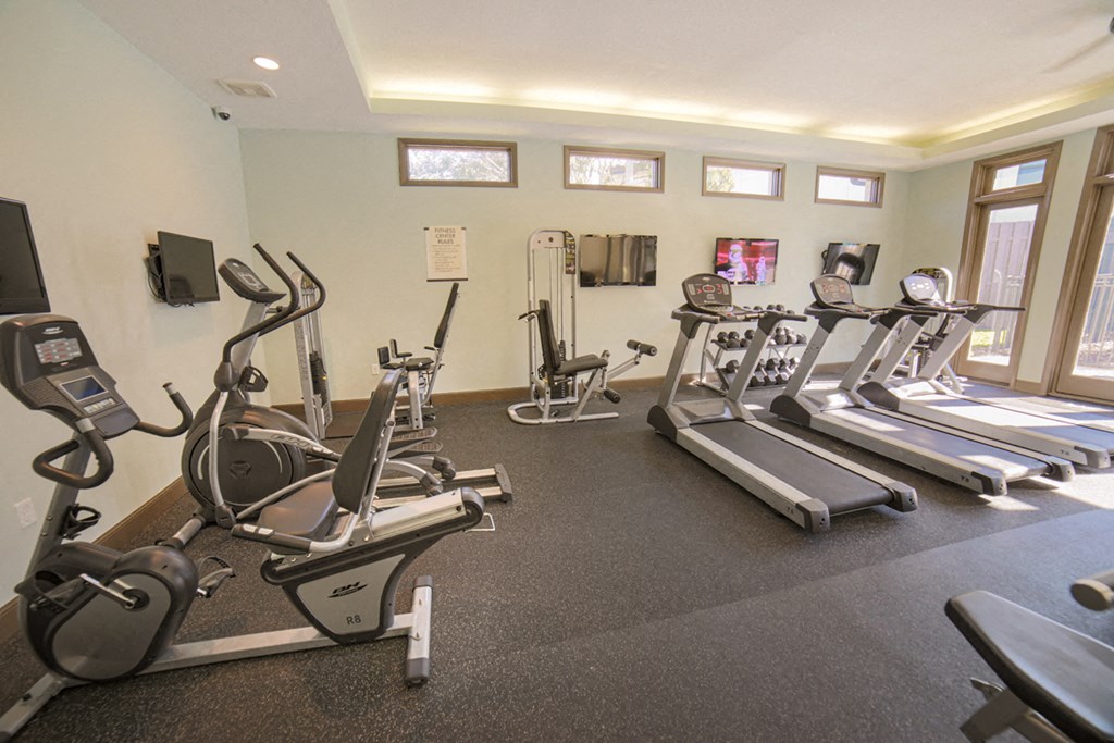 The Palms of Clearwater Apartments Fitness Center