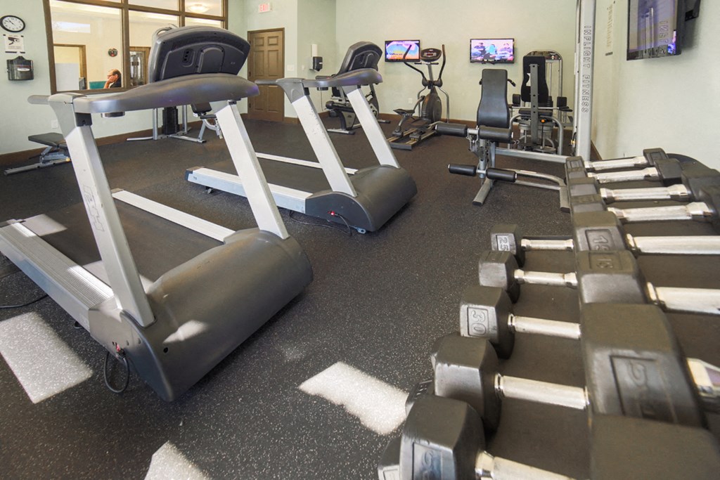 The Palms of Clearwater Apartments Fitness Center
