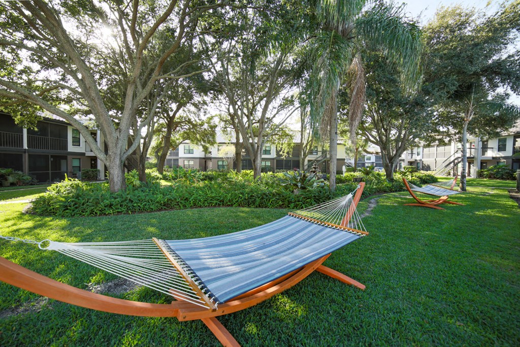 The Palms of Clearwater Apartments Hammock Lawn