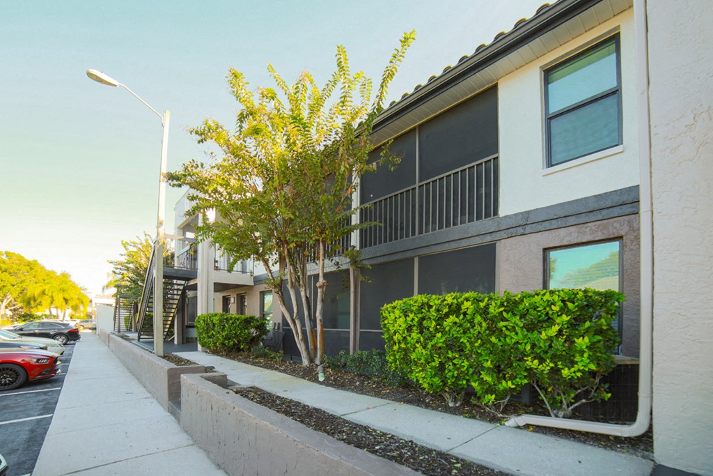 The Palms of Clearwater Apartments Exterior