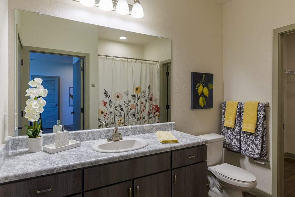 Lofts at Brooklyn Downtown Jacksonville FL | Bathroom