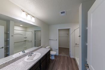a bathroom with a sink and a toilet