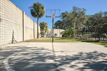Townsgate Apartments | Plant City, FL | Basketball Court