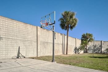 Townsgate Apartments | Plant City, FL | Basketball Court