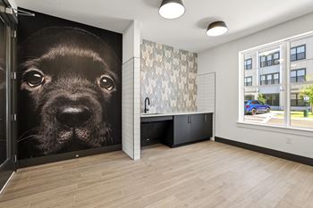 aLongleaf at St. Johns Apartments | St. Johns, FL | Pet Spa