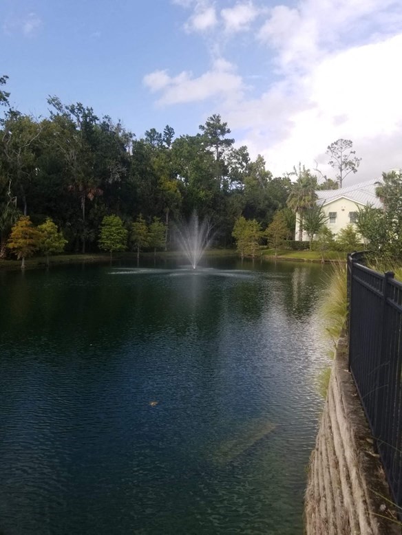 Olive Grove Apartments Pond with Fountain