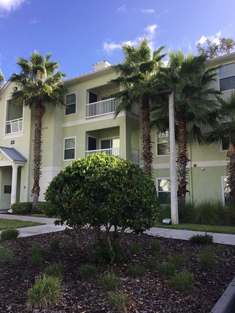 Olive Grove Apartments Leasing Exterior
