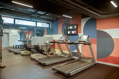A gym with treadmills and exercise equipment.