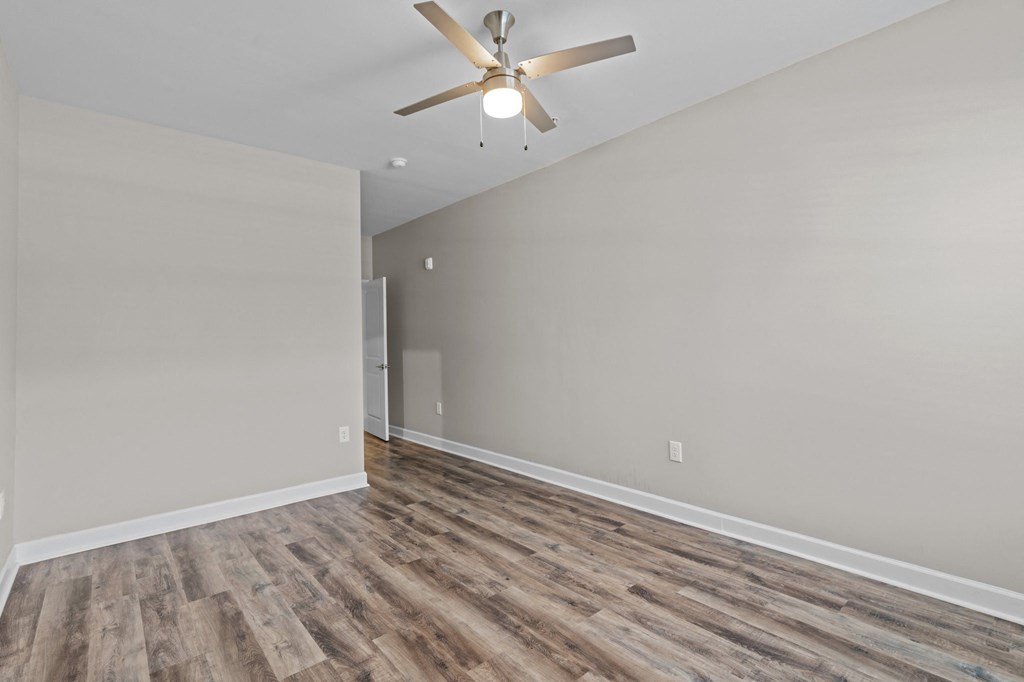Lighted Ceiling Fan at Greenbrier Woods, Greenville, North Carolina