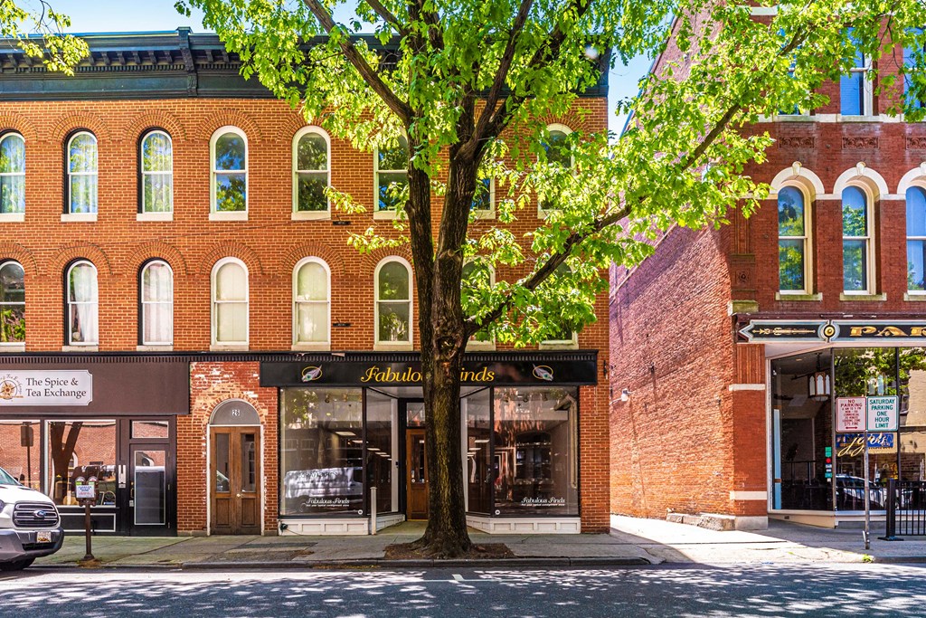 a tree in front of a building on a city street