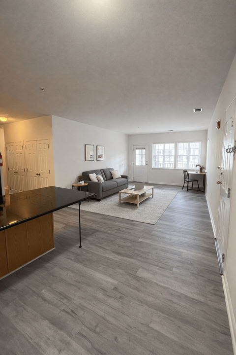 A modern living room with a grey sofa and a black coffee table.