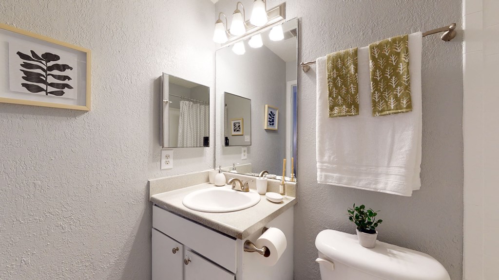 a bathroom with a sink and a mirror and a toilet
