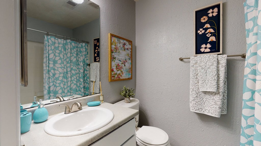 a bathroom with a sink and a toilet and a mirror
