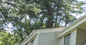 Beautiful Wooded Views The Crossings at Bramblewood | Richmond, VA