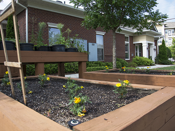 Park At Johns Creek 55 Active Adult