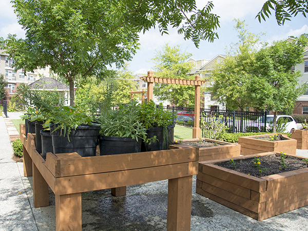 Park At Johns Creek 55 Active Adult