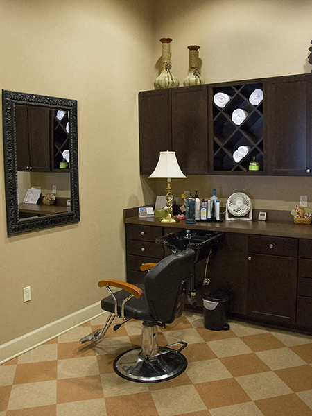 Park At Johns Creek 55 Active Adult