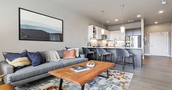 One Bedroom Model Living Room One Bedroom Model Living Room - Photo Gallery 2