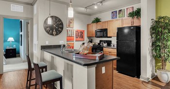 100 Acklins Cir 1-3 Beds Apartment for Rent - Photo Gallery 6