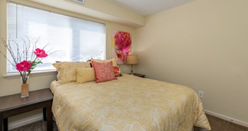 Apex At Ashton Green Apartment Homes