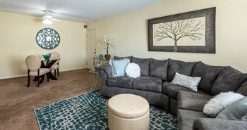 Apex At Ashton Green Apartment Homes