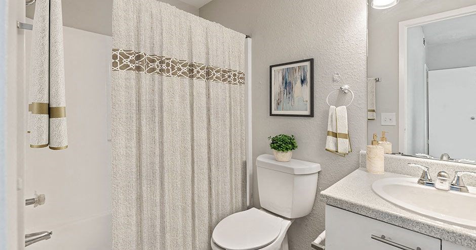 Mylo | Fort Worth, TX